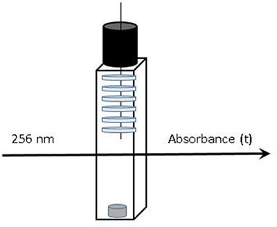 Potential of Incorporation of Antimicrobial Plant Phenolics Into Polyolefin-Based Food Contact Materials to Produce Active Packaging by Melt-Blending: Proof of Concept With Isobutyl-4-Hydroxybenzoate